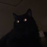 Profilbild von ⌖
