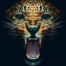 TheLeopard 的头像