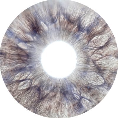 bylukapekic's profile picture