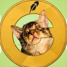 buttcoin69's profile picture