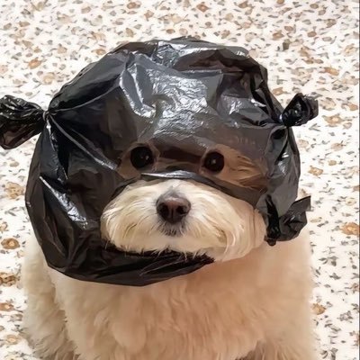 จุ้บ’s มัม 🎀's profile picture