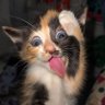 maeng's profile picture