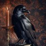 a's profile picture