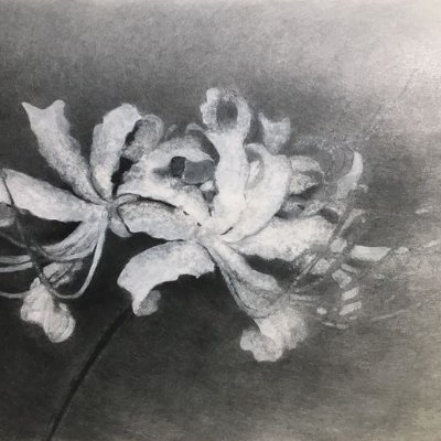 kunostia's profile picture