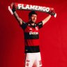 FLAMENGO. 的头像