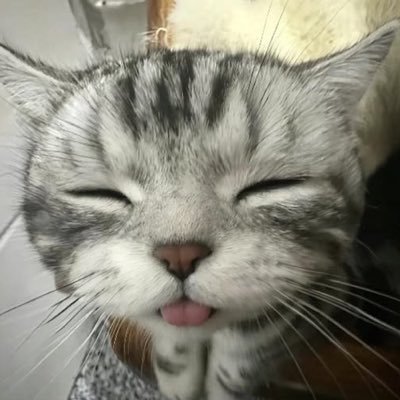 astvito's profile picture
