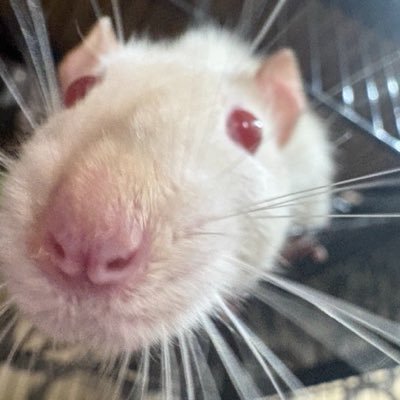 maldô♡'s profile picture