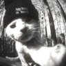 sv!'s profile picture