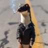Profilbild von RoadWeasel