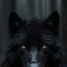Profilbild von JayQua