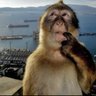 Aloric profil fotoğrafı