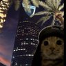 ramaa_f0's profile picture