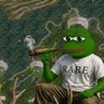 ROPEPE | 🐸⚡️🟠's profile picture