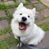 จอนอ profil fotoğrafı