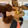 Profilbild von Wile E. Coyote, VICTORIOUS!!!
