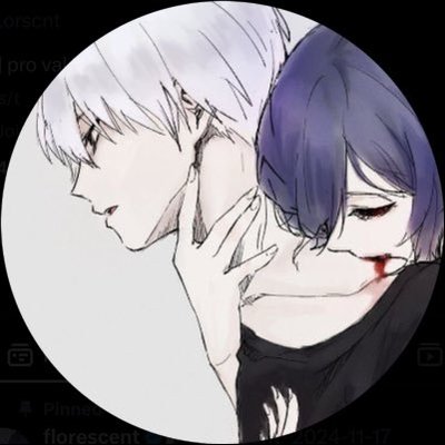 nordlys's profile picture