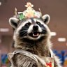Jim 🦝's profile picture
