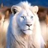 Diphax's profile picture