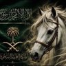 SAUDI 的头像