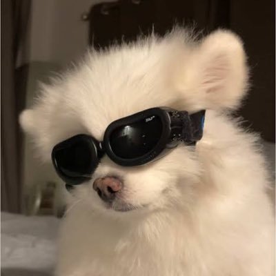 PM_Mpy's profile picture