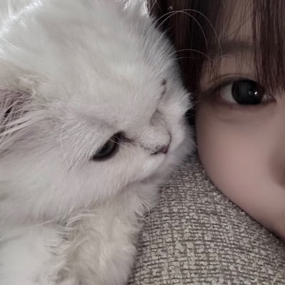 naannn7a's profile picture