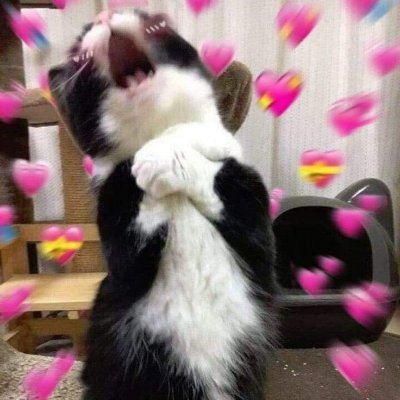 nasrptyn's profile picture