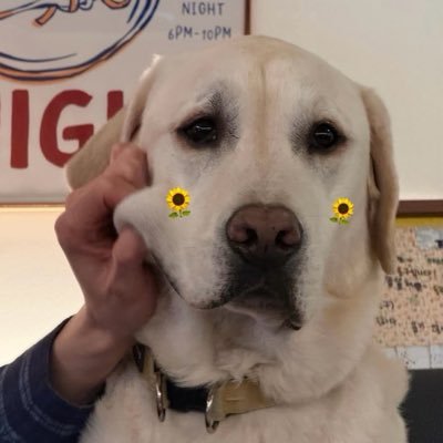 ɪs ᴍʏ sᴜɴғʟᴏᴡᴇʀ.파이 🌻's profile picture