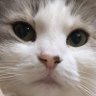 Profilbild von リート