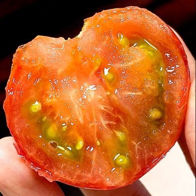 tomato252025's profile picture