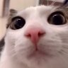 Profilbild von crunch