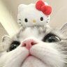 🐰: 𝗮𝗻𝗮𝗻 的头像