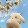 简Jane--好运🍓🍓 profil fotoğrafı