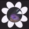 pola loves petra 💋's profile picture