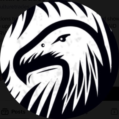 vulturtraqqq's profile picture