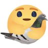 pigeon aléatoire 的头像