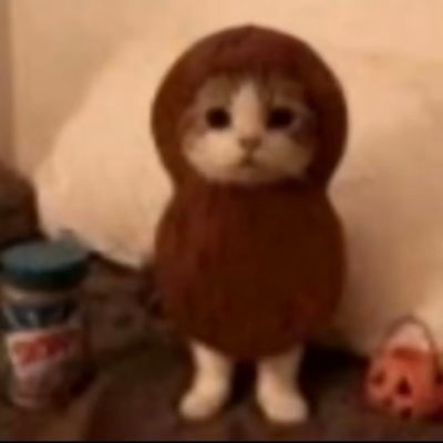 diditu001's profile picture