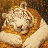 Фото профиля 赛道猎手💰虎哥
