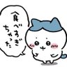 抹茶屋さん 的头像