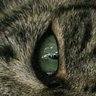 Profilbild von ???????