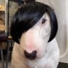 cici ☺︎ bb mode profil fotoğrafı