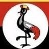 Profilbild von ROLLAND ABAHO