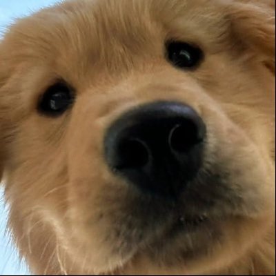 506 ˚ ༘'s profile picture