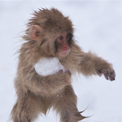 Justus's profile picture