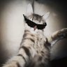 Devii's profile picture