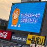 Фото профиля みずうみ