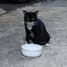 herebud's profile picture