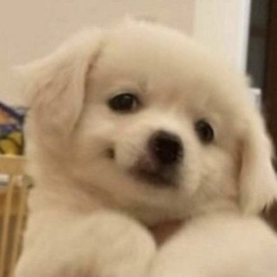 แว่นใหญ่'s profile picture