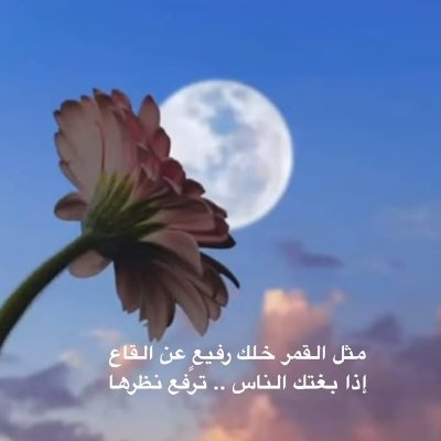 lwlw87750's profile picture