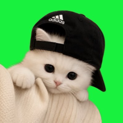 잰랑해's profile picture