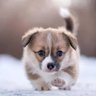 Фото профиля Alfio Rubio